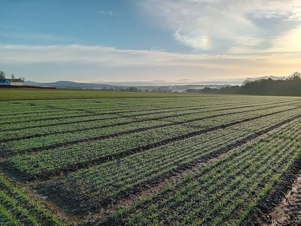 Derek Matthew tweet media