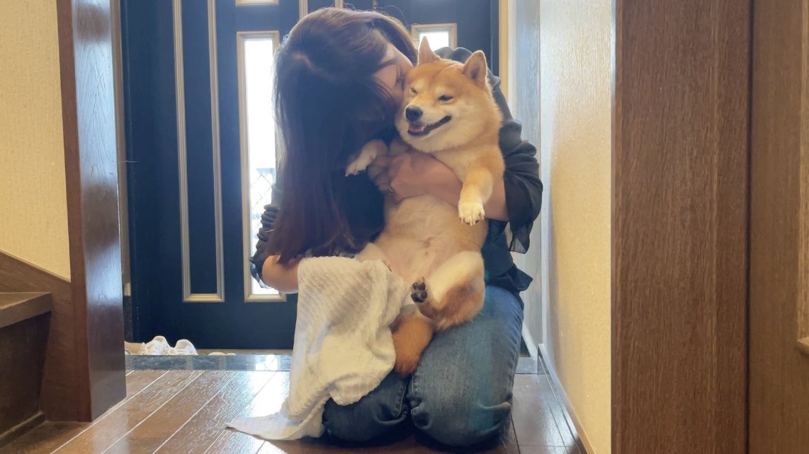 ママに抱きしめられてあからさまに幸せそうにする豆柴が可愛すぎました