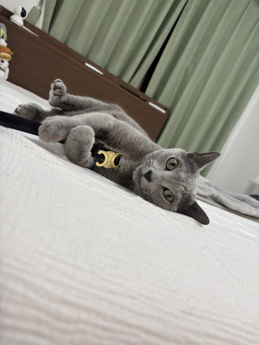 てんてん( ・ω・ ) (@tenten_0519) / Posts / X