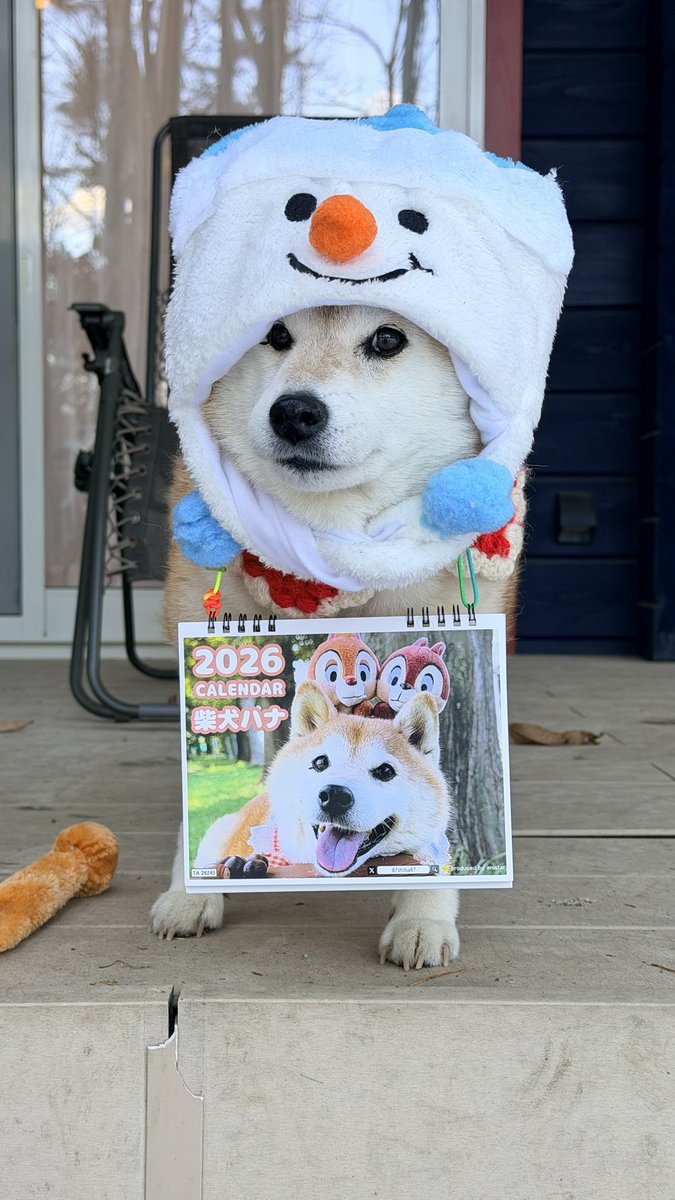 87shiba87's tweet photo. 自分で宣伝しなさいよーって
言われたワン🥹来年のカレンダーだワン 🐾

https://t.co/L6EPZpmxbA https://t.co/oAnvTHImhS