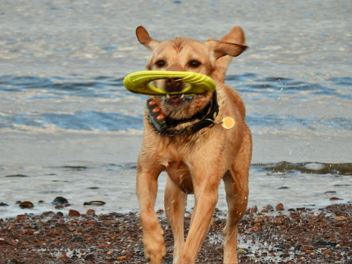 Carmel Wake tweet media