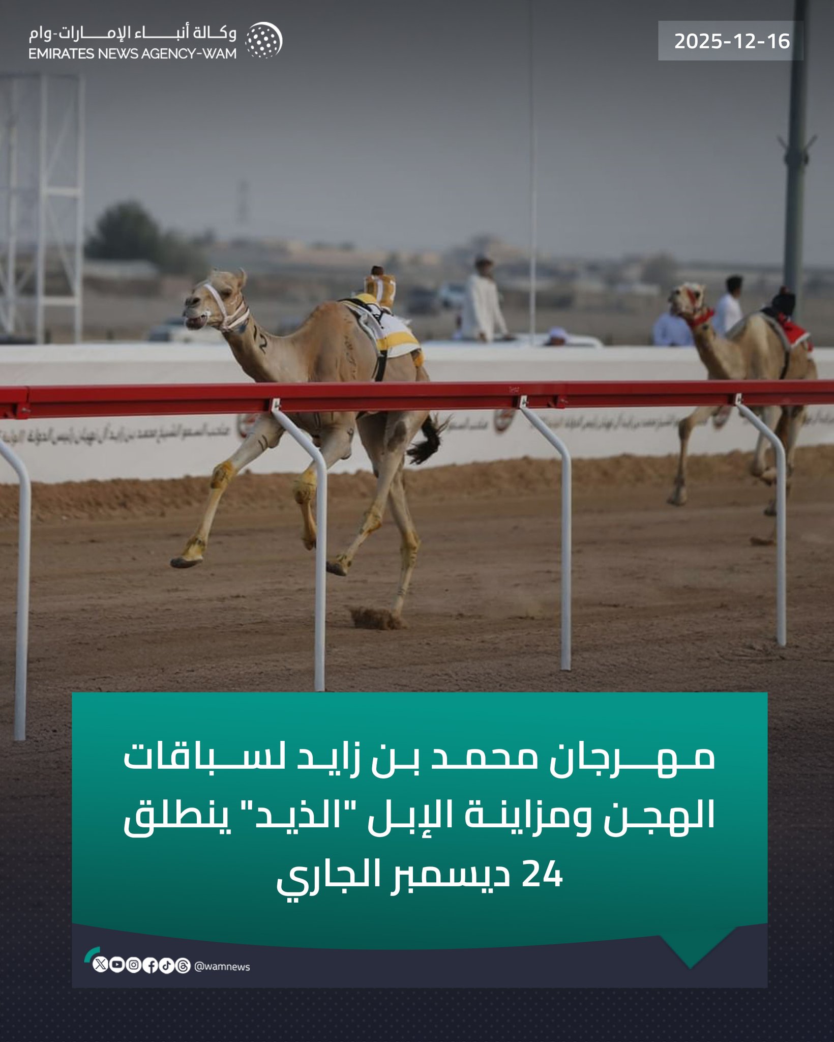 مهرجان محمد بن زايد لسباقات الهجن ومزاينة الإبل "الذيد" ينطلق 24 ديسمبر الجاري #وام 