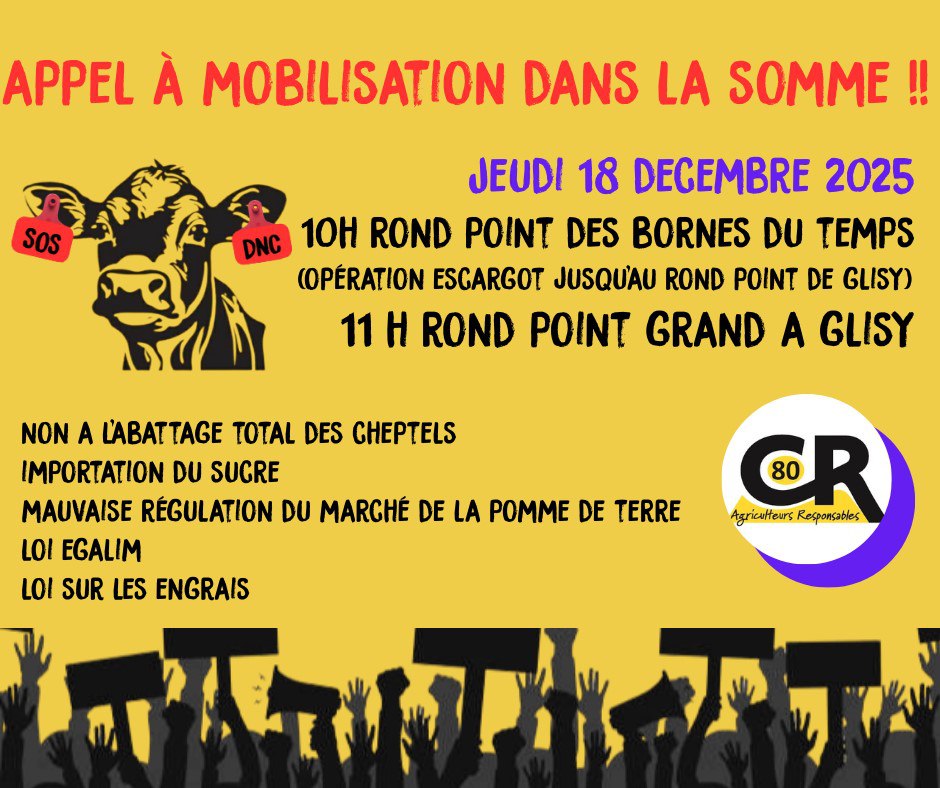 coordinationrur's tweet photo. 🔴 APPEL À MOBILISATION DANS LA #SOMME ! #CR80 La colère du monde agricole continue de monter. Face à des décisions injustes et à une gestion hors-sol des crises agricoles, les agriculteurs de la Somme se mobilisent pour défendre leur métier et l’avenir de leurs exploitations.
📅 Jeudi 18 décembre 2025
🕙 10h – Rond-point des Bornes du Temps
👉 Opération escargot jusqu’au rond-point de Glisy
🕚 11h – Rond-point Grand A à Glisy
🟡⚫️ La Coordination Rurale haut de france appelle tous les agriculteurs, syndiqués ou non, à se rassembler pour faire entendre la voix du terrain.

#CoordinationRurale #AgriculteursEnColère #AgricultureFrançaise #DNC
