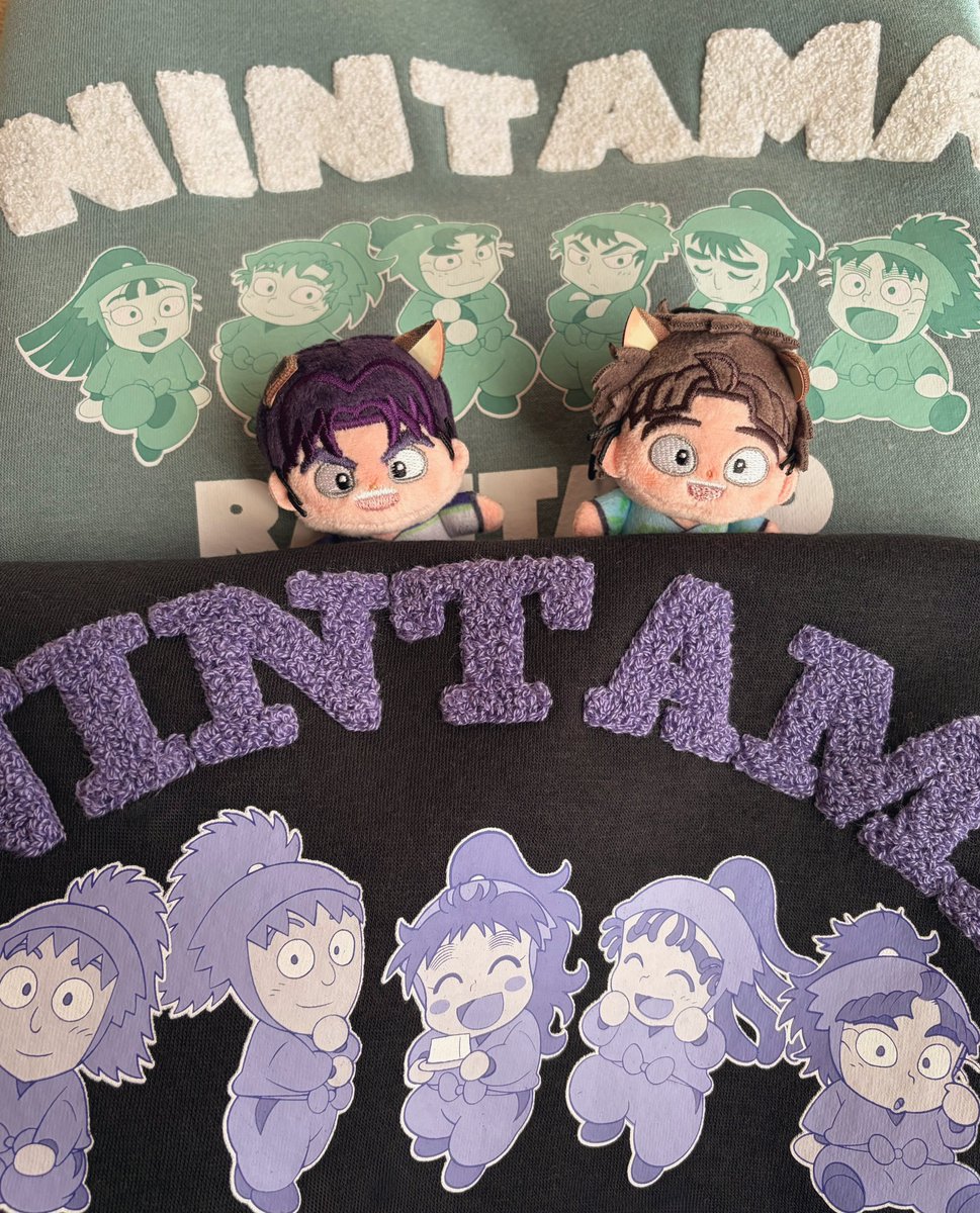 忍たまのトレーナーを手に入れ、うきうきの段🎶