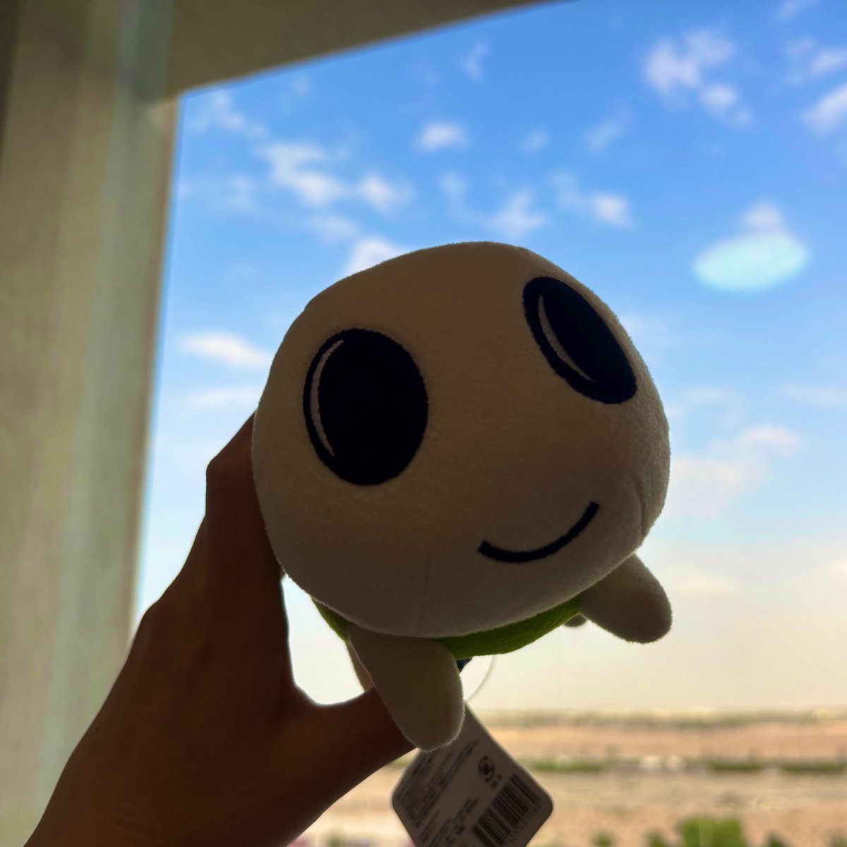アラブ在住なみすけ🇦🇪 tweet media