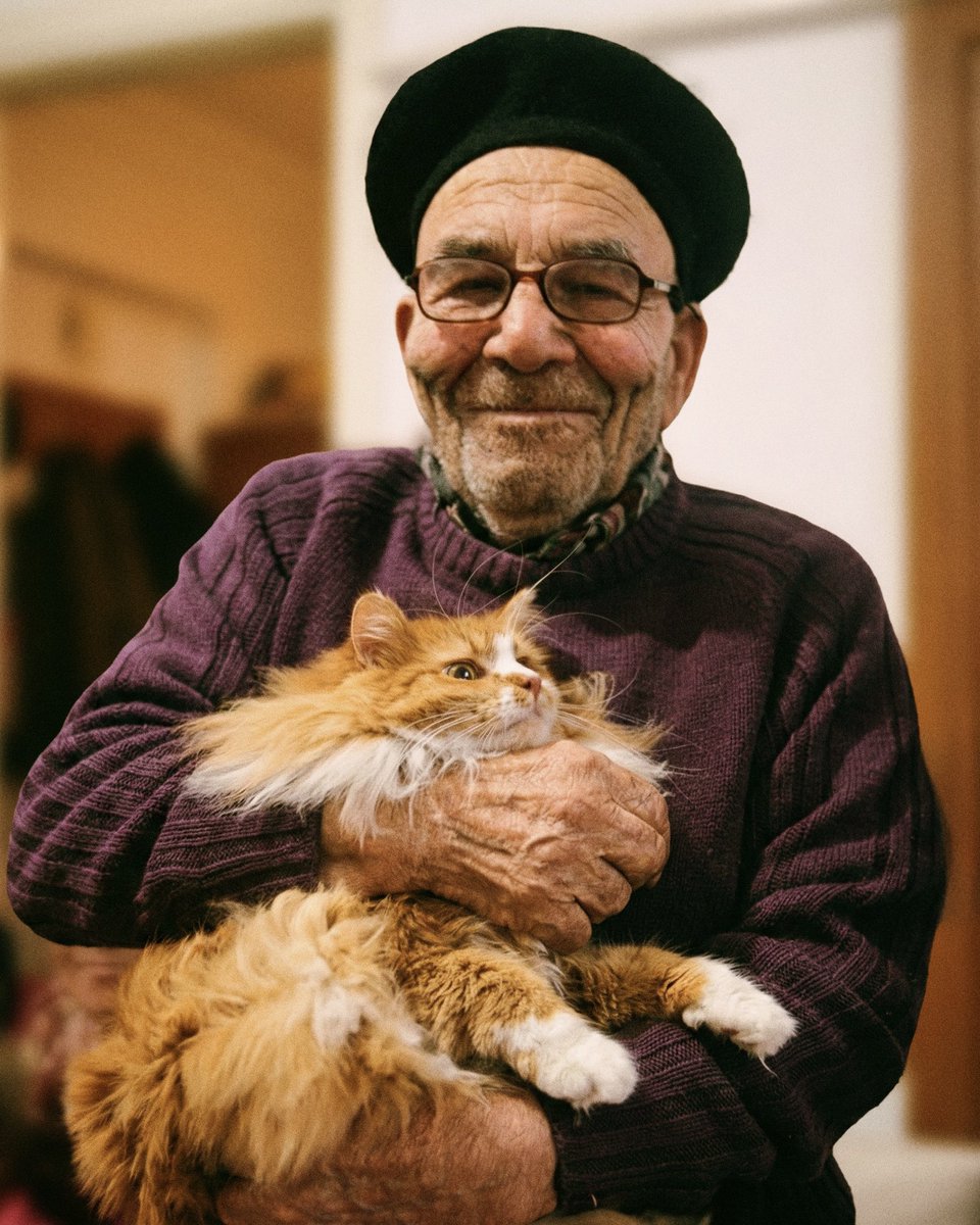 TurkeySecular's tweet image. How it started.
How it’s going. 🐾