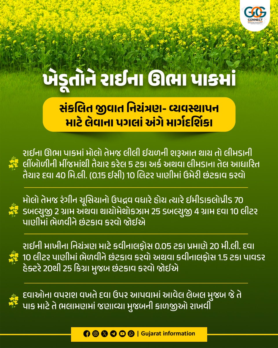 ખેડૂતોને રાઈના ઊભા પાકમાં સંકલિત જીવાતોના નિયંત્રણ-વ્યવસ્થાપન માટે વાવણી બાદ લેવાના પગલાં અંગે સરદાર કૃષિનગર દાંતીવાડા કૃષિ યુનિવર્સિટી દ્વારા માર્ગદર્શિકા જાહેર કરાઈ...

#Agriculture #Farmers #Gujarat