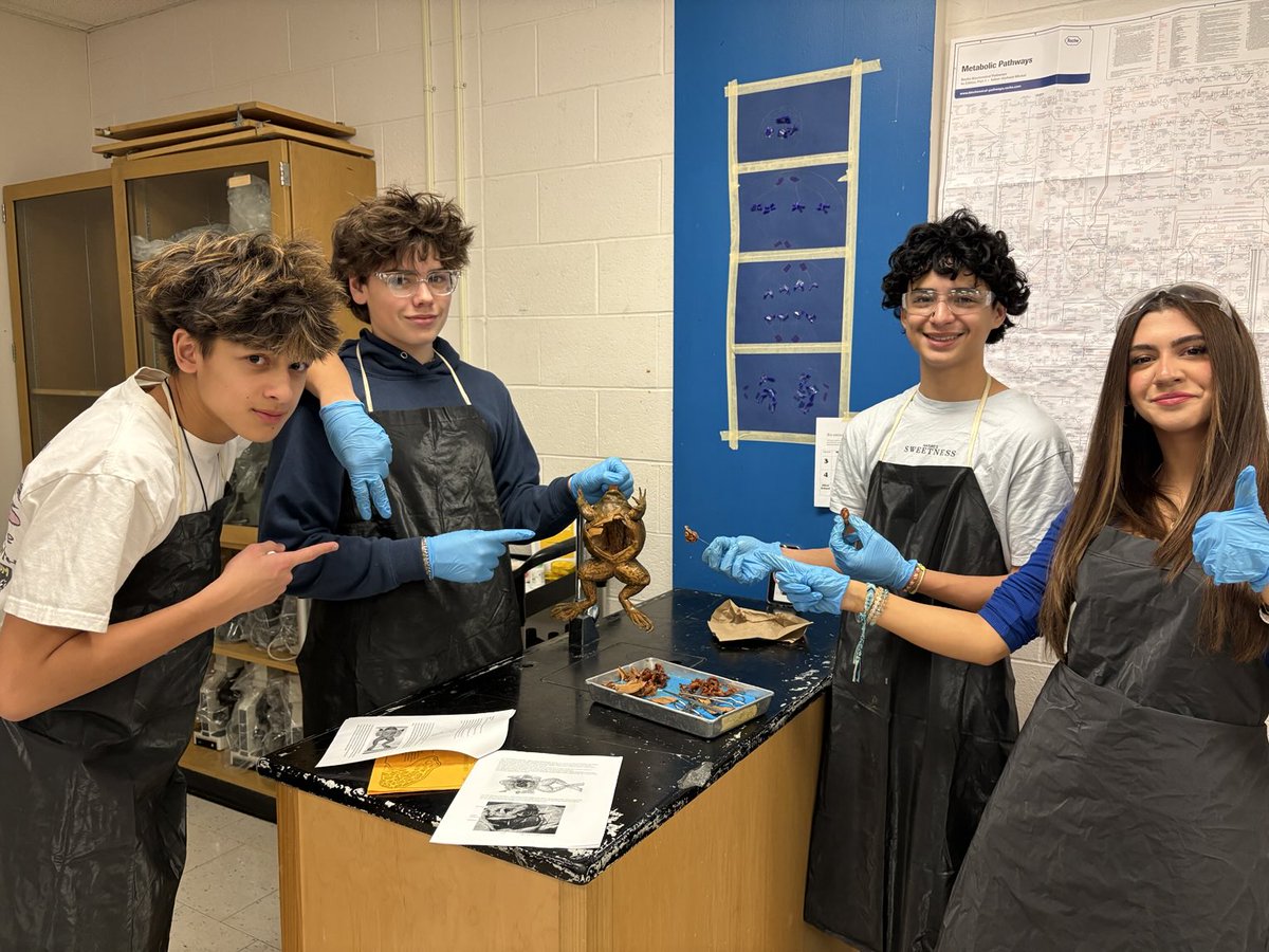 mpsjscience's tweet photo. It’s frog dissection time with our grade 10 classes. Is there a more iconic high school lab? 🐸 #mpsjscience ⁦@MPSJ_TCDSB⁩ https://t.co/rE0RvhHvli