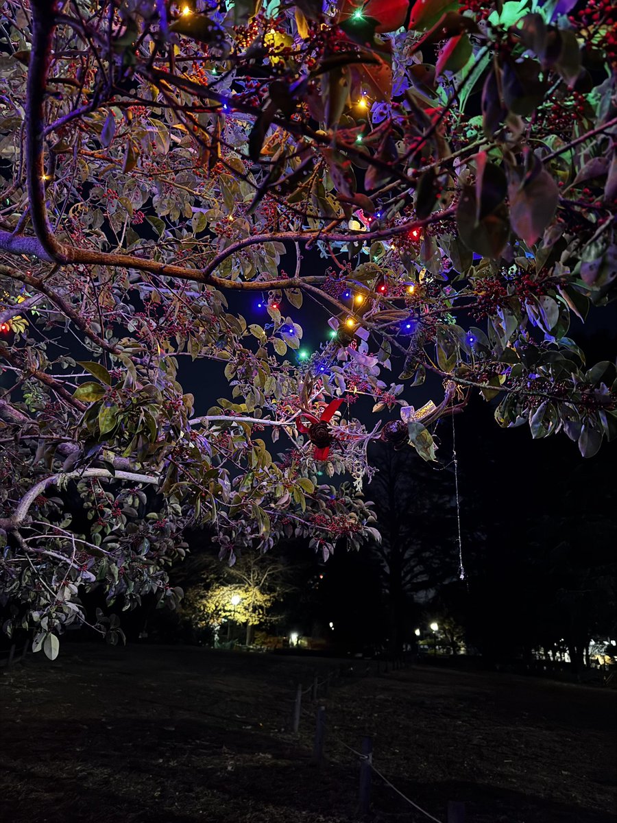 まーくん (@KHAOS_MAHKUN) / Posts / X