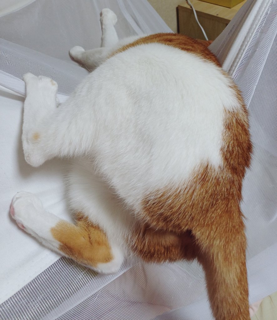 namul_e2's tweet image. 궁뎅궁뎅하다 궁뎅궁뎅한
궁딩궁딩하다 궁딩궁딩한