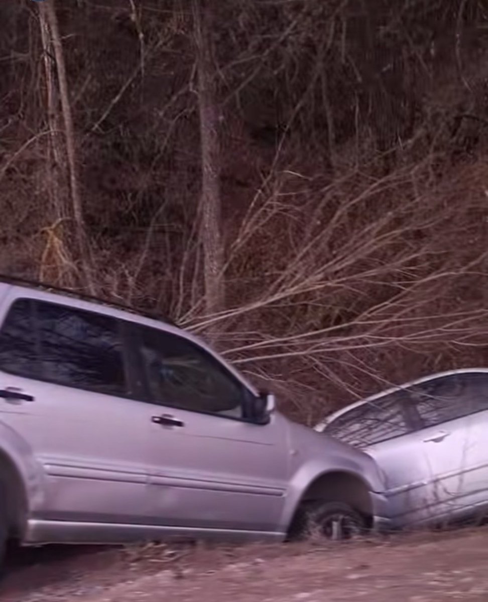 Северџан #НикогашСеверна tweet media