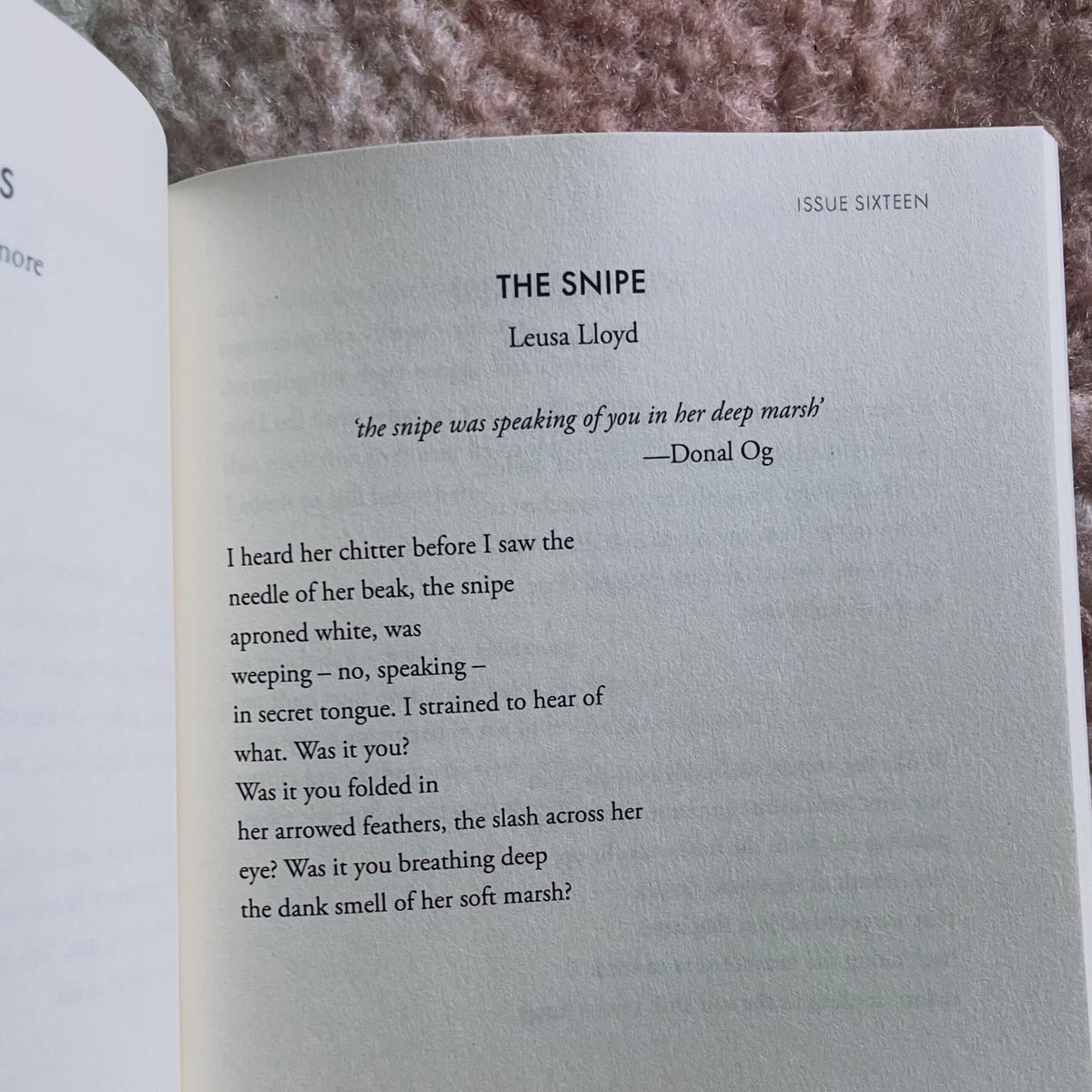 LloydLeusa's tweet image. Delighted to get my hands on @propelmagazine’s new anthology ❤️ lovely to see my golden shovel ‘The Snipe’ in person