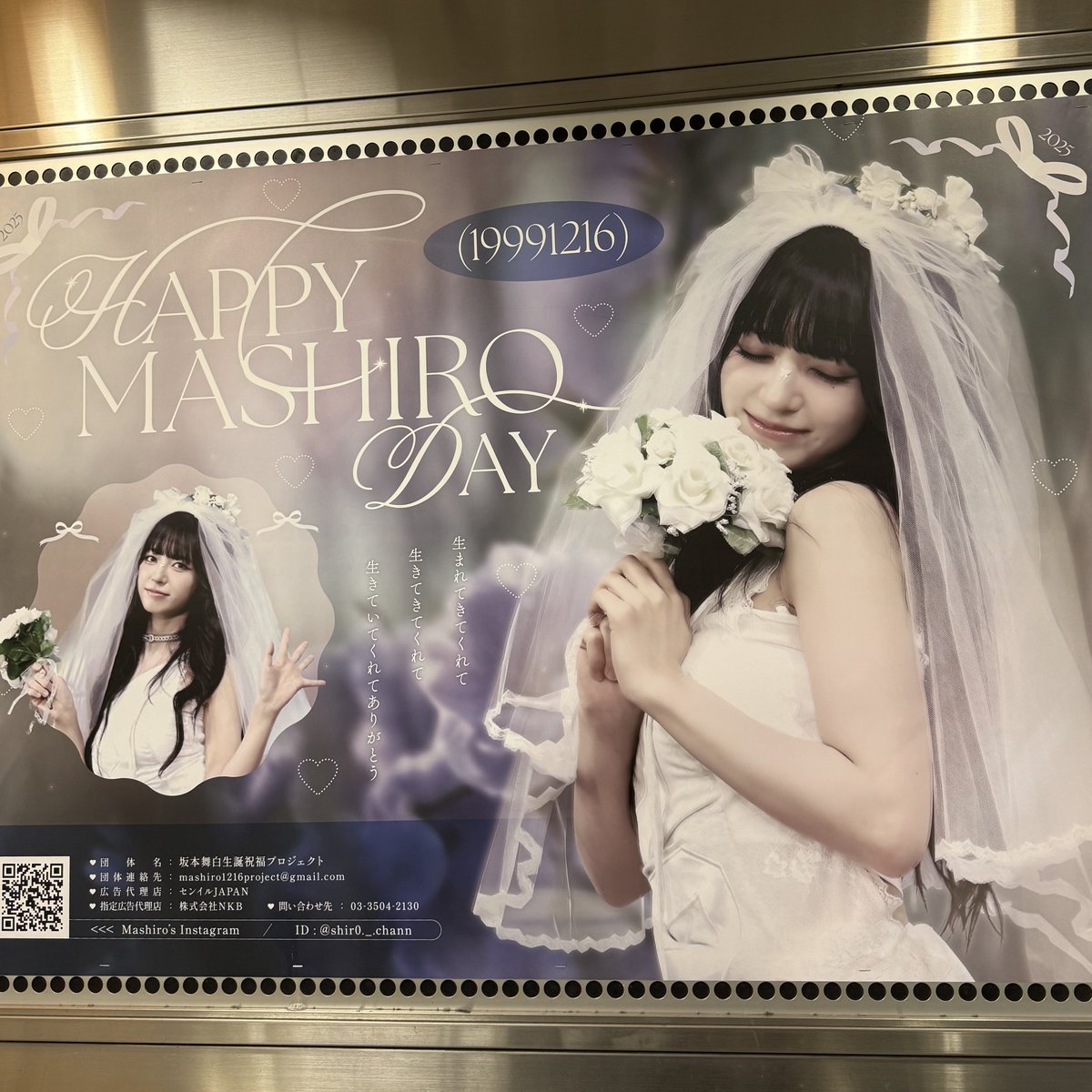 shirorin_1213's tweet photo. だいすきな人が出した、だいすきな子の広告💍

本当にしまちゃんの愛で溢れてる世界一素敵な広告だった🥺🤍(本人はALTまで見てね)

改めて舞白ちゃんお誕生日おめでとう💐🤍

@kep_shima @mashiro1216_bdp https://t.co/VjBSsuan4m