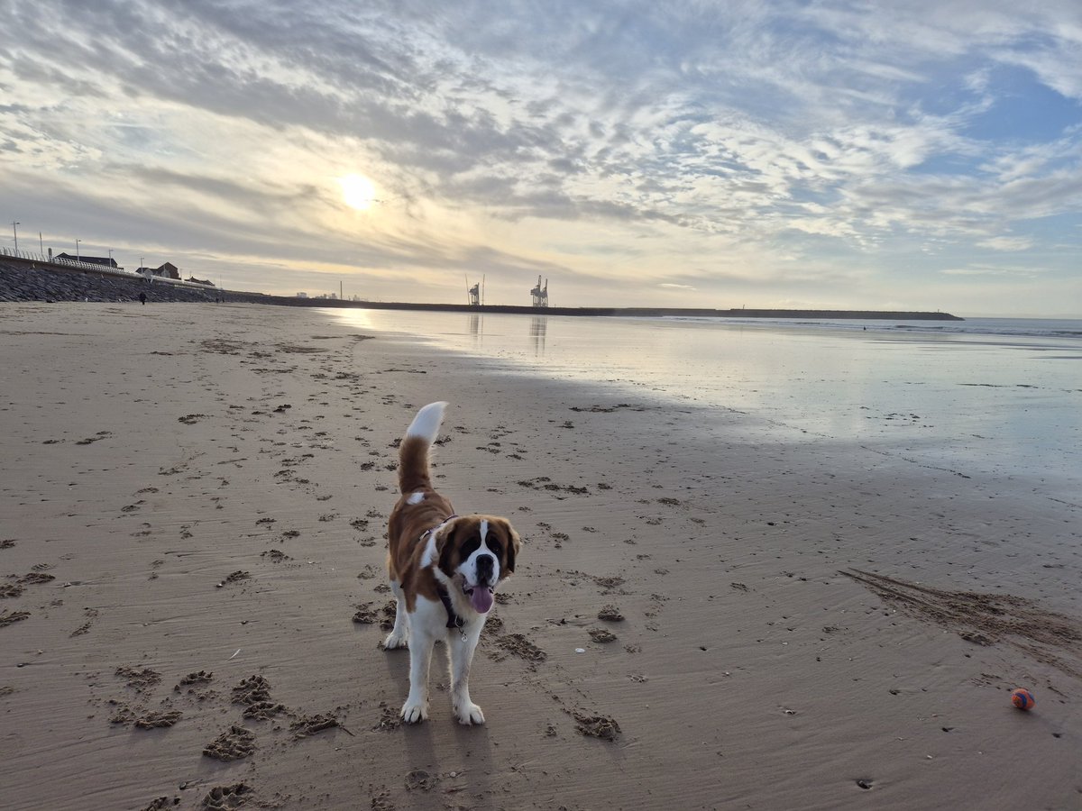 Cllr Cen Phillips 🔶️🏴 tweet media