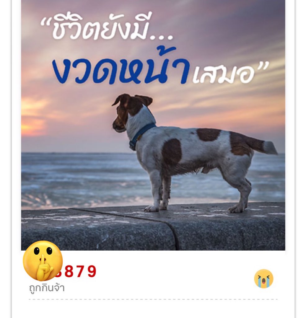 Lavanderl3​rown tweet media