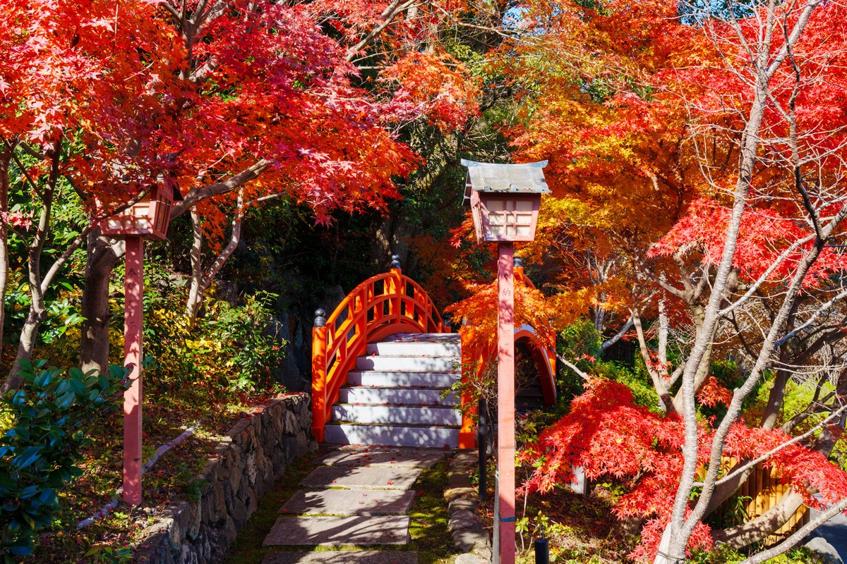 niceKenji's tweet photo. 正法寺の庭園
京都大原野の古刹の風景です。
11月30日 https://t.co/0B0HypUgR1