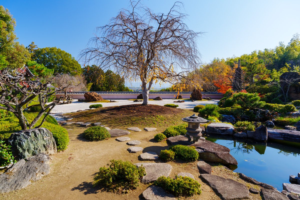 niceKenji's tweet photo. 正法寺の庭園
京都大原野の古刹の風景です。
11月30日 https://t.co/0B0HypUgR1