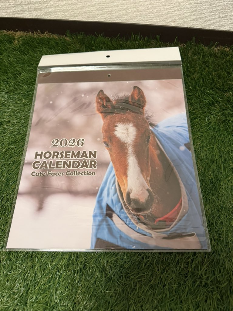 サラブレッド血統センター (@Thoroughbred_PC) / Posts / X