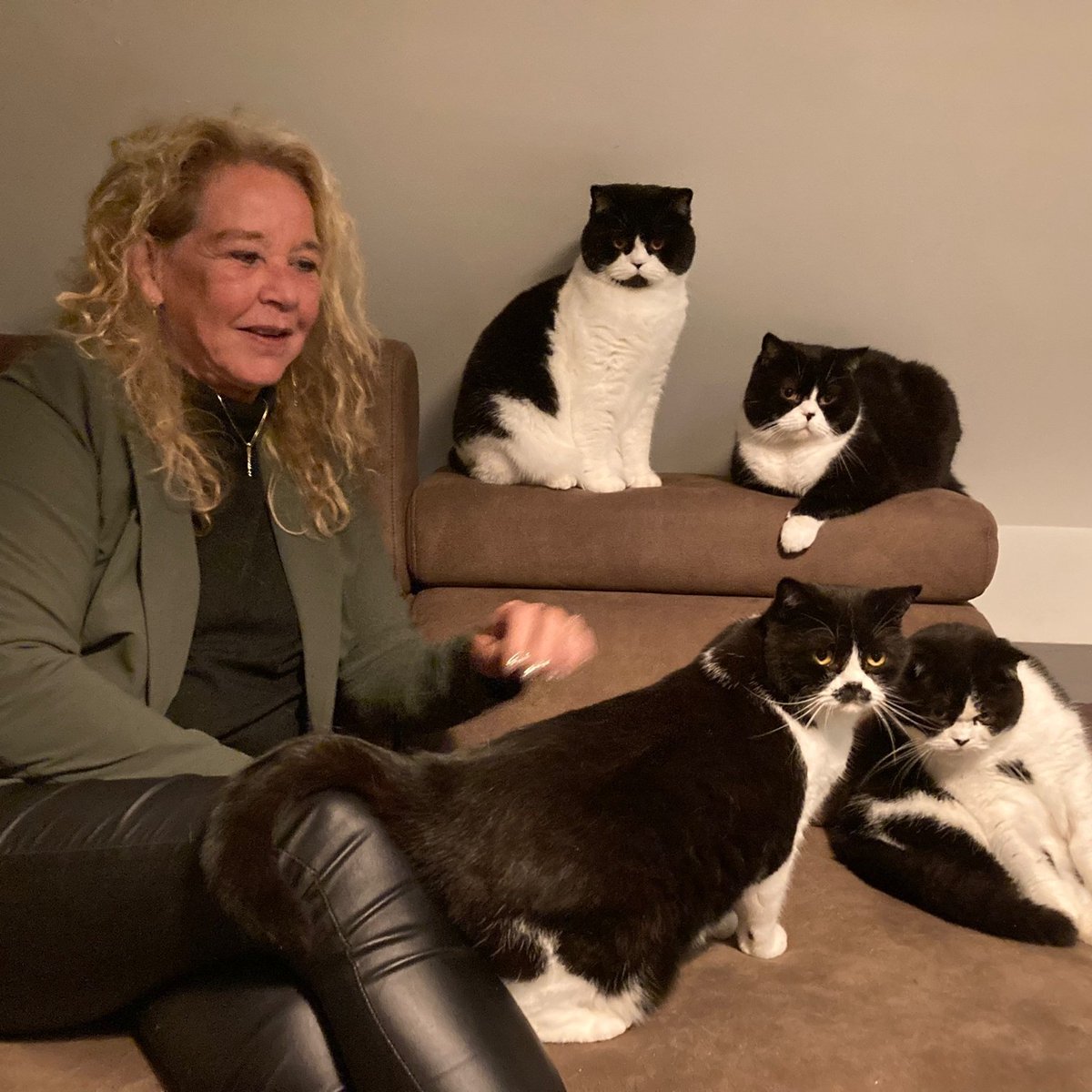 🌱LoezzB 🐾 tweet media