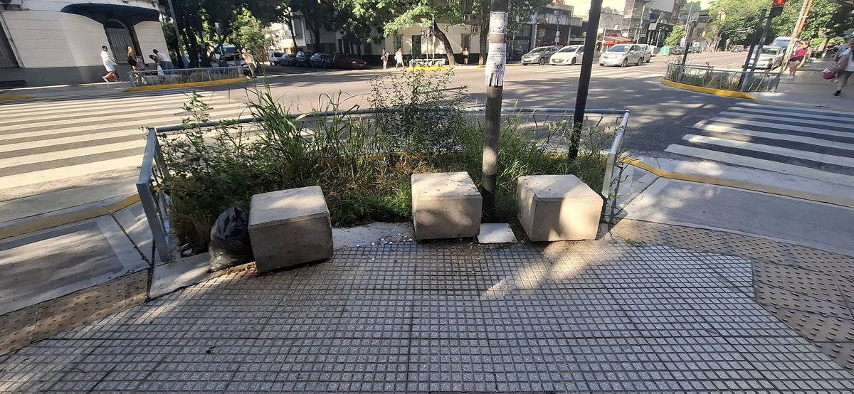 SaitzD's tweet photo. Hola @gcba @jorgemacri que paso con la selva que esta creciendo por Boedo? Todas las esquinas desde Quintino hasta Av La Plata estan asi con las plantas, mas la suciedad que se esta acumulando. Podrían hacer algo? Gracias https://t.co/nBHaj6uFOb