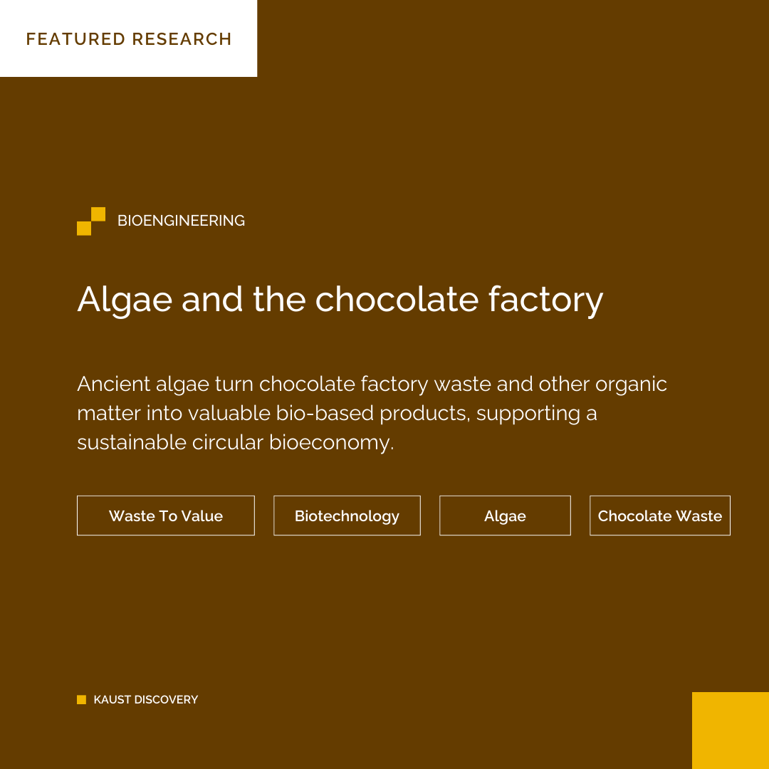 KAUST_BESE's tweet photo. Check out our latest featured research: *Algae and the chocolate factory* 

📰Featured in KAUST Discovery: https://t.co/bKY0yGM9Jm

🦠Published in Trends in Biotechnology: https://t.co/JRRz8H4bjB

#ChocolateWaste #Algae #Bioengineering #Biotechnology #WasteToValue @Kylelauersen
