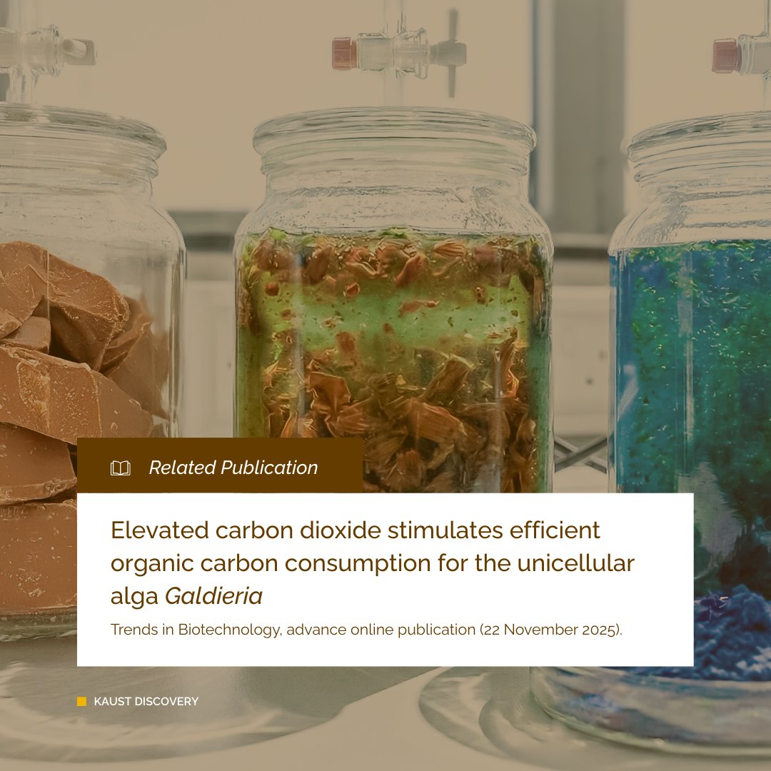 KAUST_BESE's tweet photo. Check out our latest featured research: *Algae and the chocolate factory* 

📰Featured in KAUST Discovery: https://t.co/bKY0yGM9Jm

🦠Published in Trends in Biotechnology: https://t.co/JRRz8H4bjB

#ChocolateWaste #Algae #Bioengineering #Biotechnology #WasteToValue @Kylelauersen