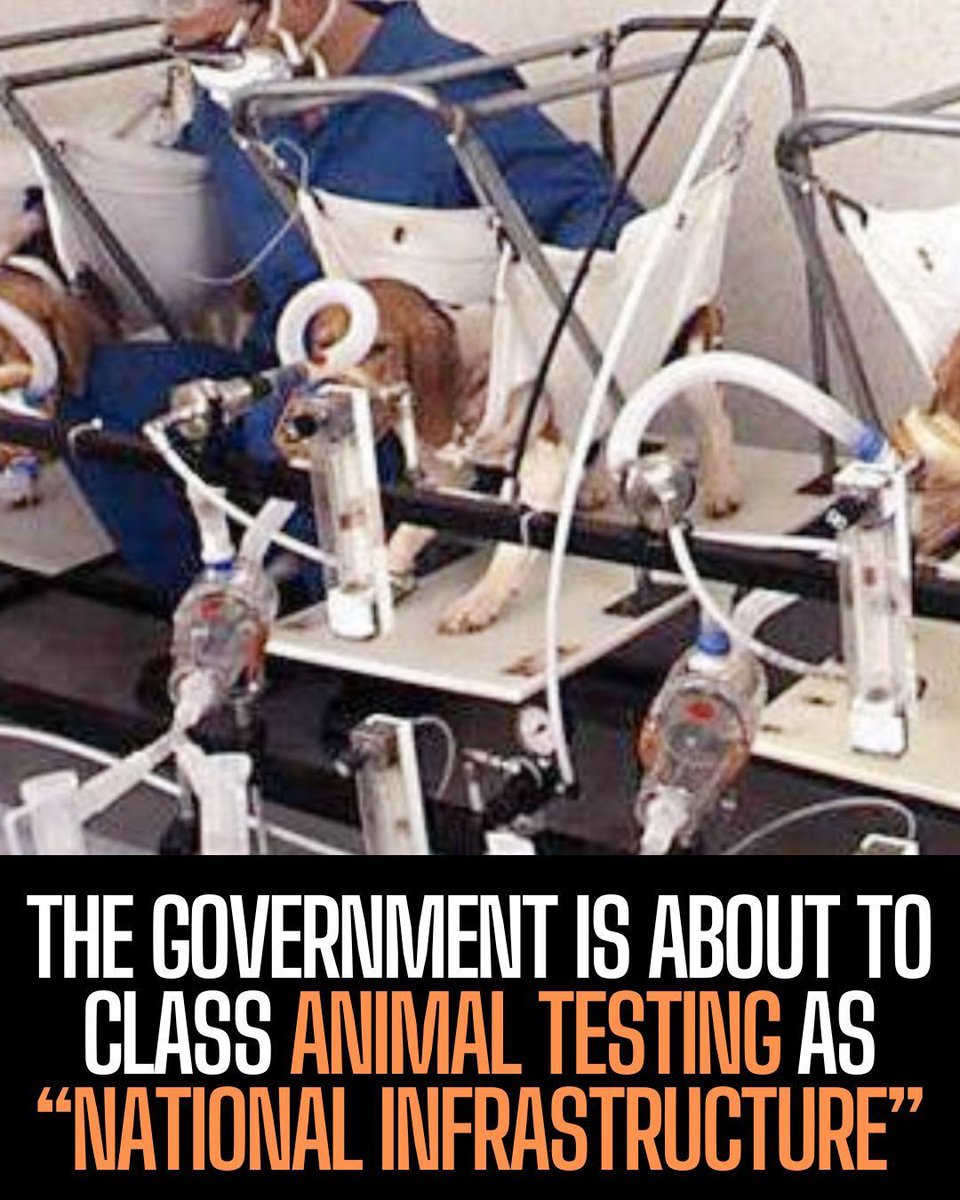 This is hideously wrong on so many levels. It's in order to clamp down on protest against animal testing and it must be stopped.