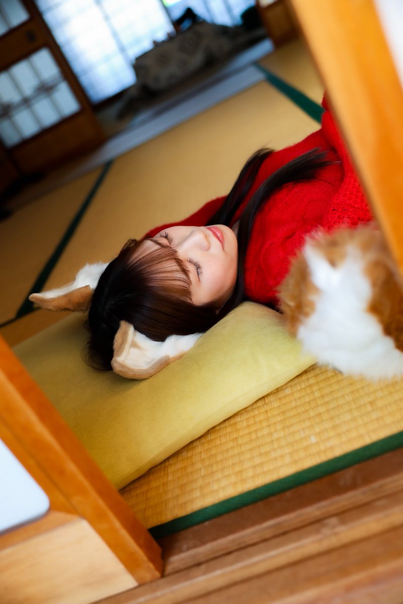 akichian_cbr_1's tweet photo. きつねのお昼寝💤

@misacream11 https://t.co/qT90wgTVhr