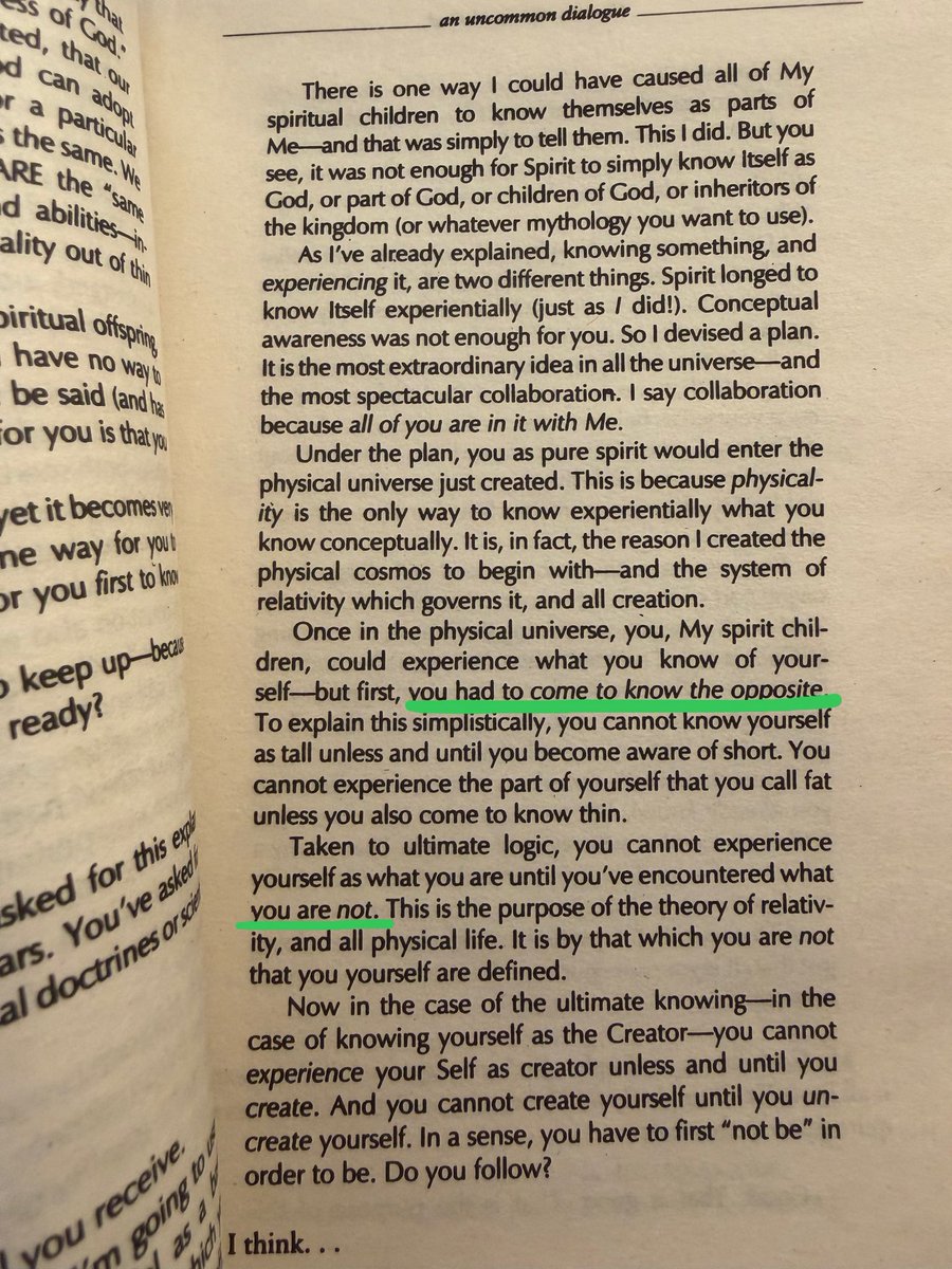 Pickle Cat tweet media