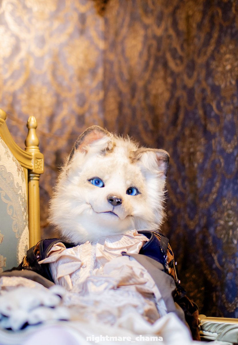 ⭐︎狐⭐︎ キツネの彼女が欲しい…！！！