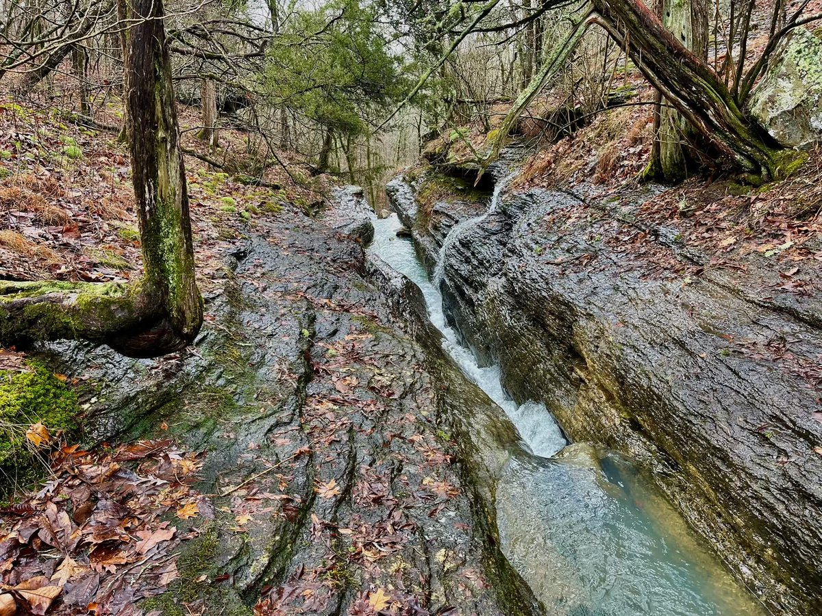 Weedhopper🦗 (@weedhopper96) on Twitter photo 