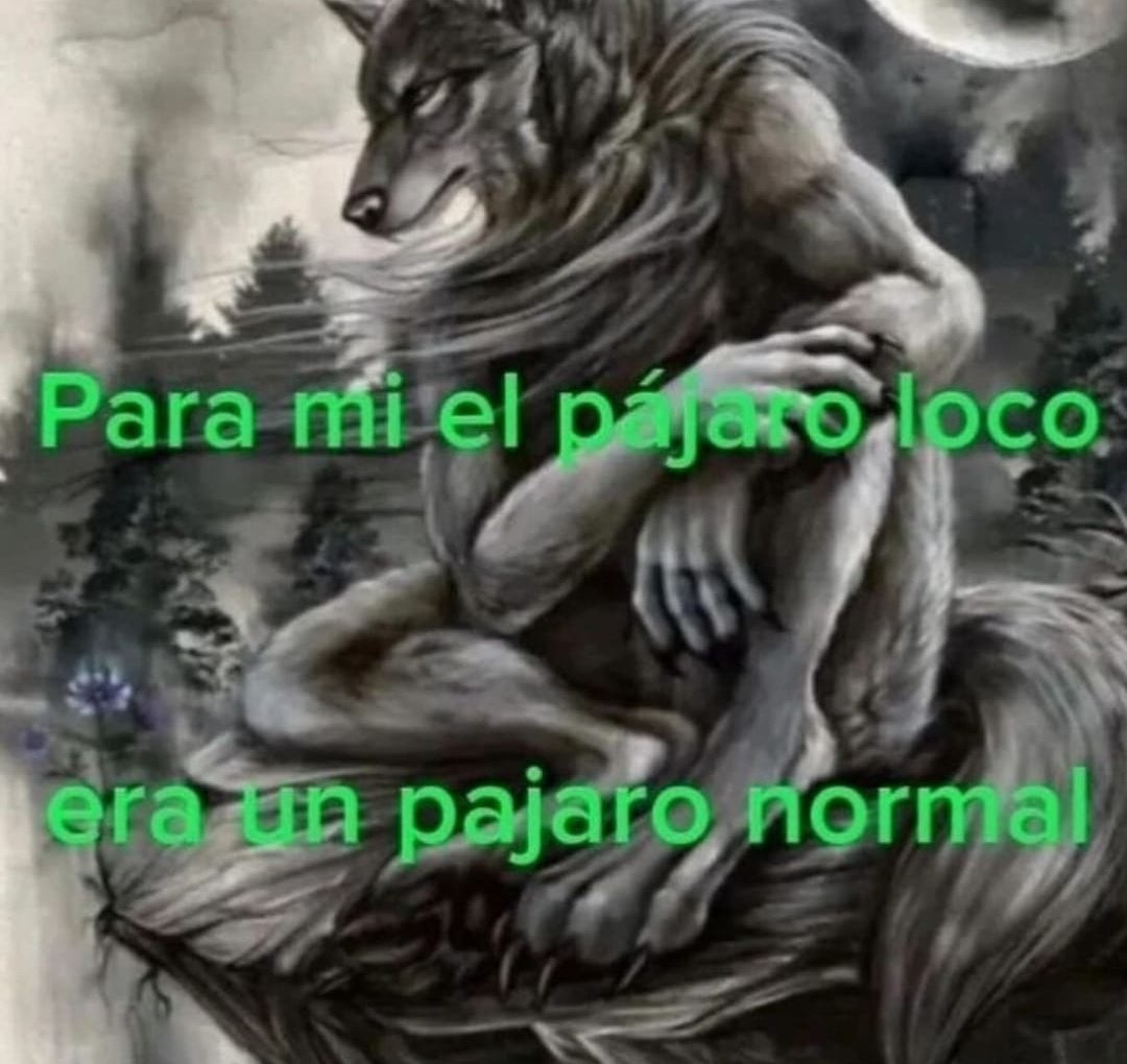 Juanngz7's tweet image. ocurren todas las desgracias posibles en el Real Oviedo 
Don Santiago Cazorla González en sus historias: