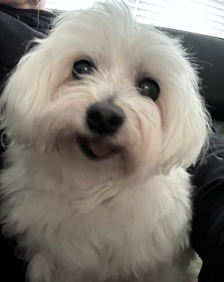 Holly🌈 tweet media