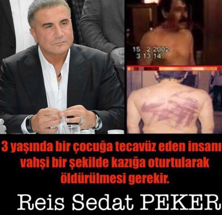 Reis Sedat Peker Medya tweet media