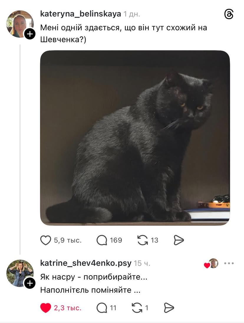 bromemss's tweet image. 