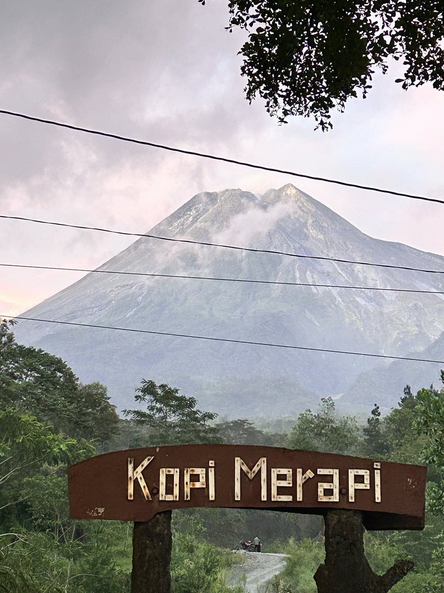 whisk(as) tweet media