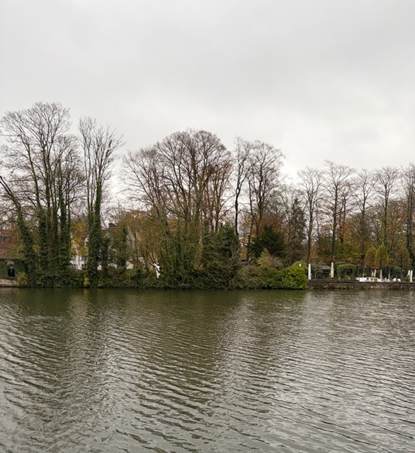 Isabel Ordaz tweet media