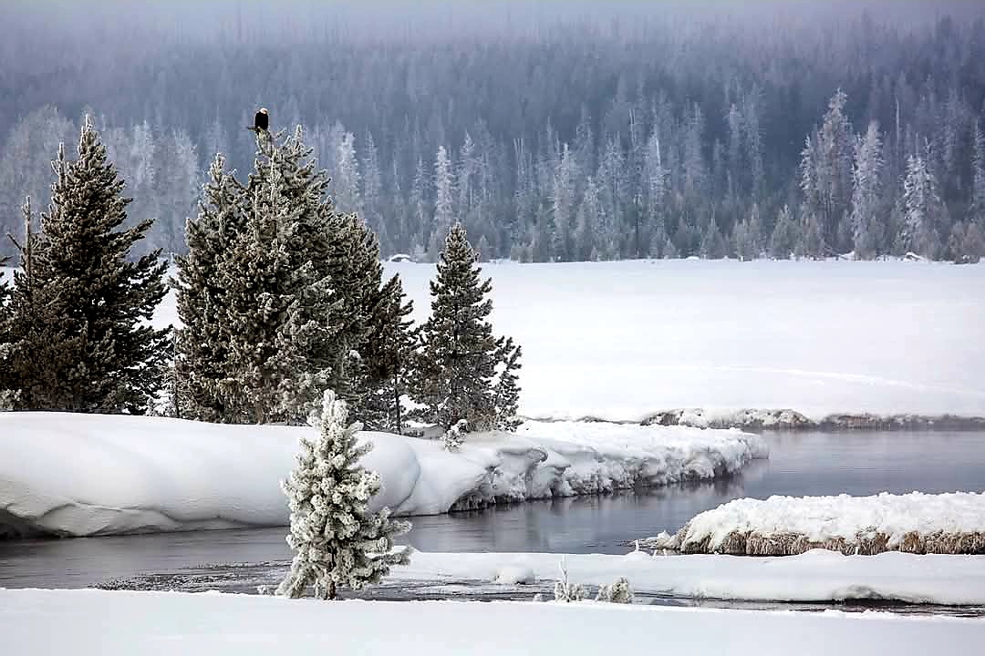 russcar10now's tweet photo. Good morning from Wyoming https://t.co/6Kk1fc6Wf0