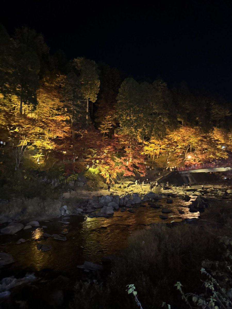 roselaki_'s tweet photo. autumn🍁 https://t.co/rf1A6VjAxr