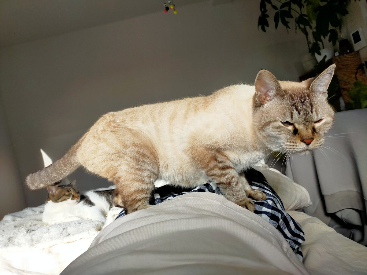 5月25日 (@snkiniens) / Posts / X