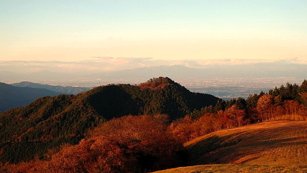 まーきー (@marquee77) / Posts / X