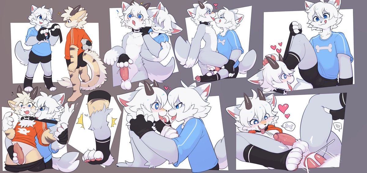 汤田小狼 tweet media