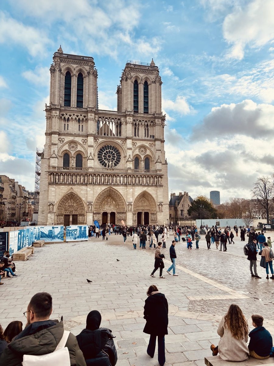 Ninjaacaitz ⚔️ tweet media