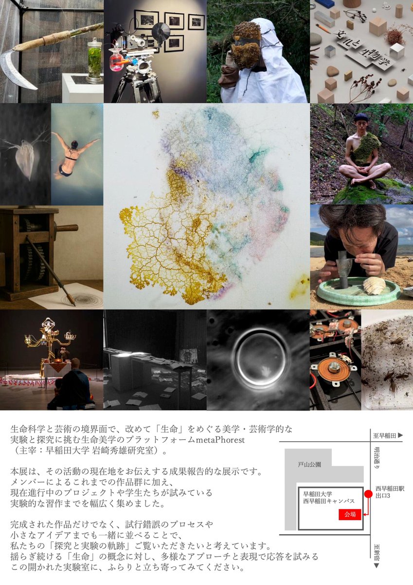 lobotomiii's tweet photo. metaPhorestが早稲田大学（西早稲田キャンパス）で展示を行います。

metaPhorestが早稲田で展示するのは実に13年ぶりです（私のほぼ初めての展示でした）。

今回は学生主体の構想段階のプロジェクトも含む実験的な展示です。私は西表島での顕微鏡実践を展示します。非常に楽しみです。 https://t.co/qex8dpnFwt