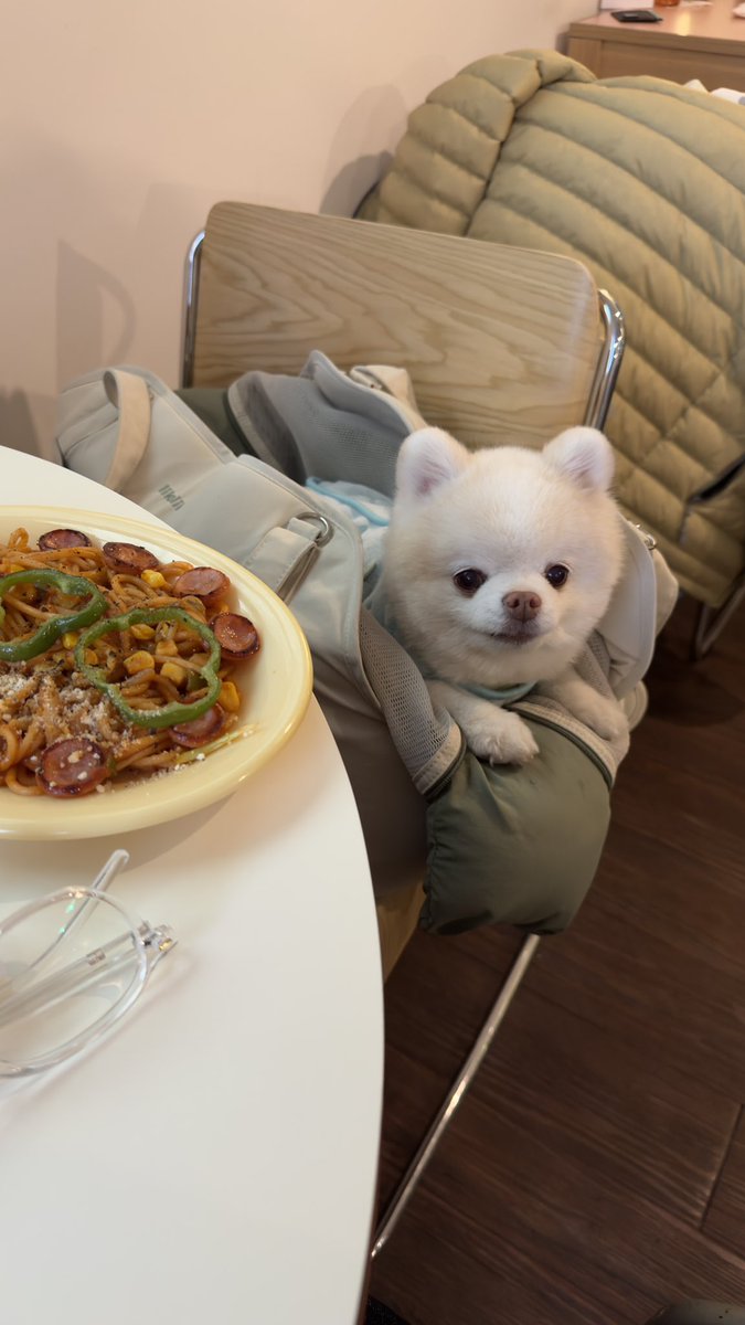 저도 한입은 주시궛지요…하고 씨익 웃는 중