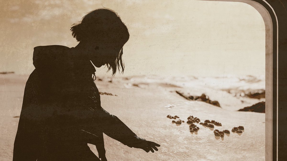 HocusPocus96315 𓃠 tweet media