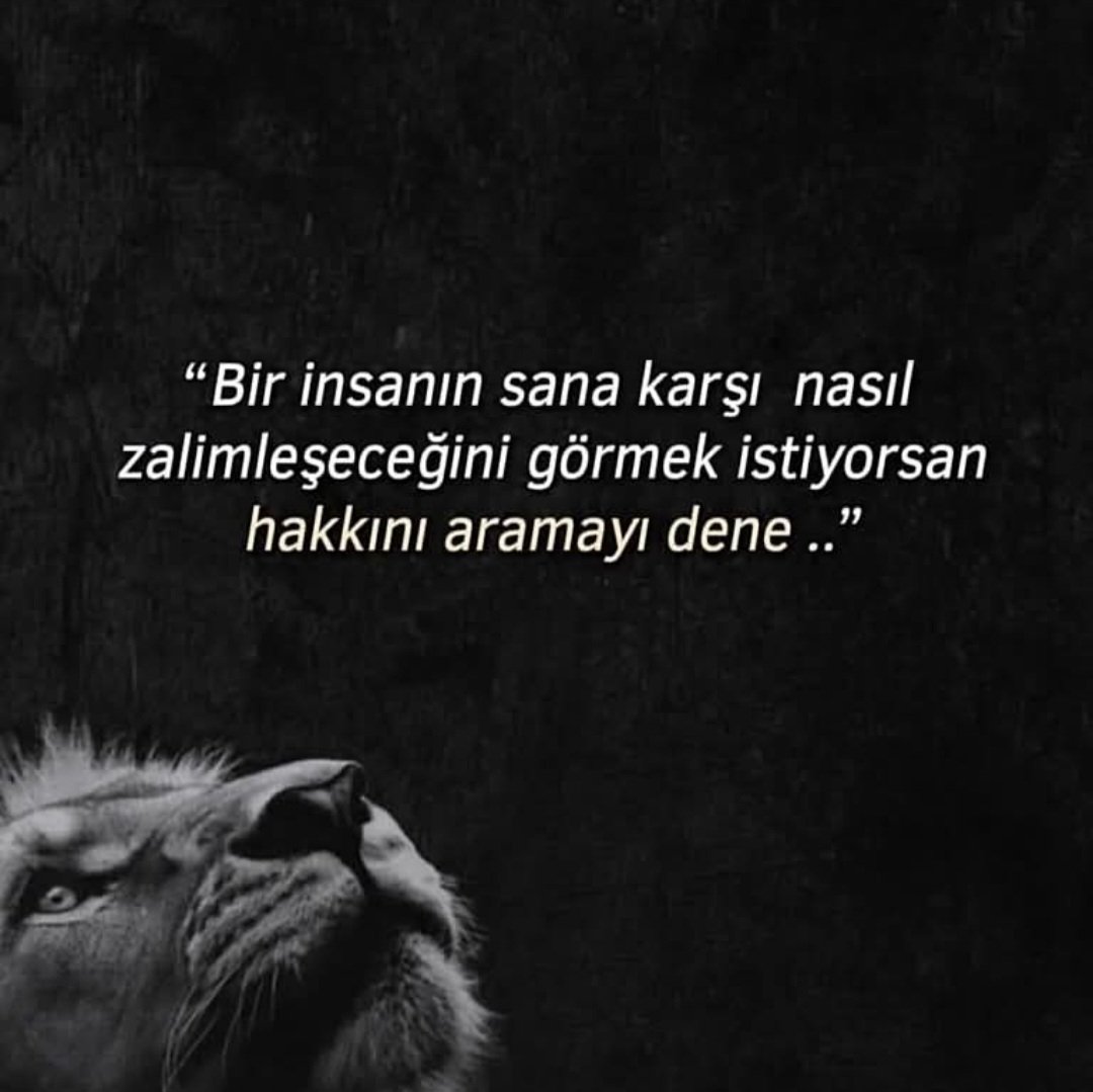 UYUNMASAYSE's tweet photo. https://t.co/QJyTE6Q7bC