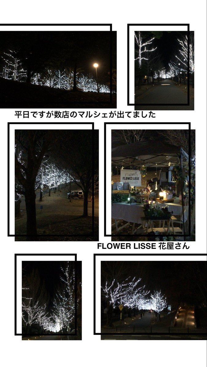 みかん☆さま確認ページ♡ ついに登場！『幻のみかん』！