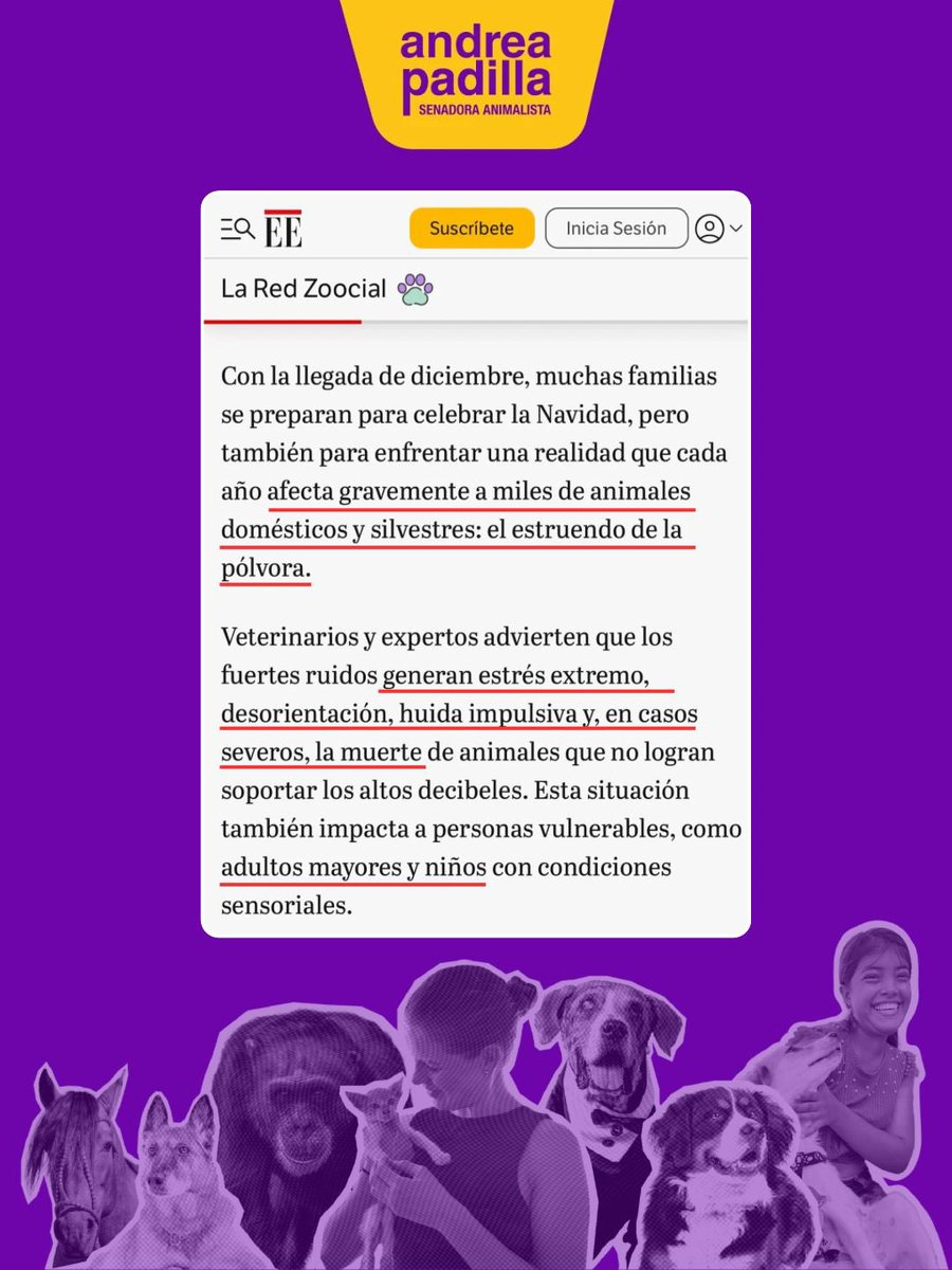 Andrea Padilla Villarraga 🪽🐾 tweet media