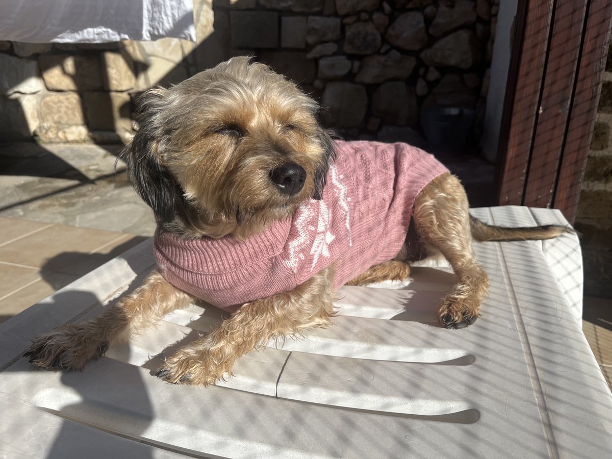 Pavel Mavrin tweet media